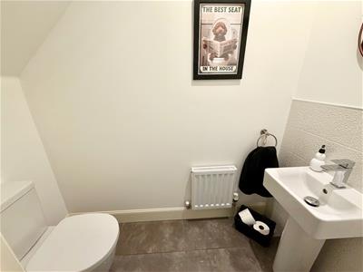 Picture 12